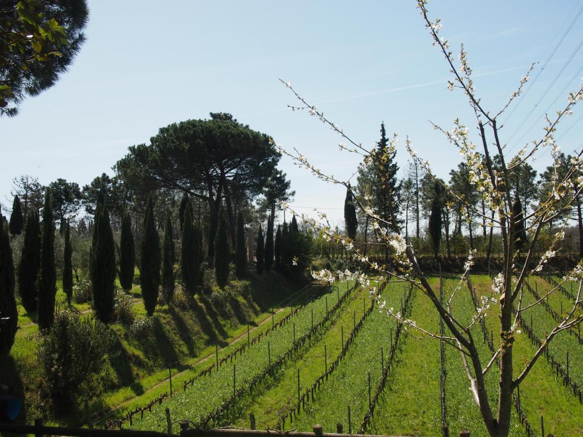 Agriturismo Gli Archi Fauglia Exterior photo