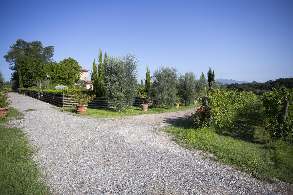 Agriturismo Gli Archi Fauglia Exterior photo