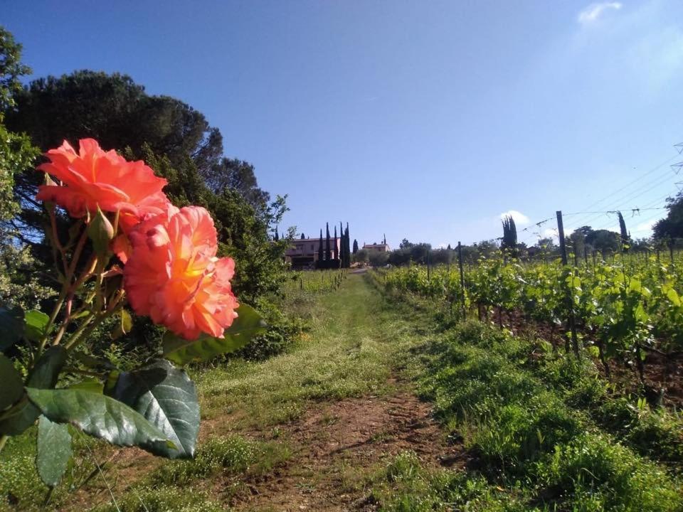 Agriturismo Gli Archi Fauglia Exterior photo